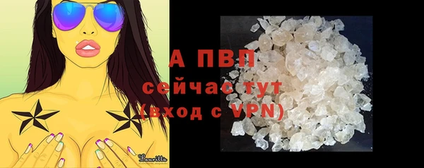 a pvp Белокуриха