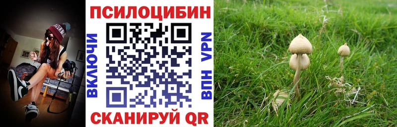 Псилоцибиновые грибы Magic Shrooms  mega вход  Дальнегорск 